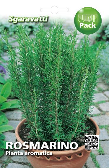 SEMI PER ORTAGGI E VEGETALI rosmarino 20 pezzi  - SGARAVATTI