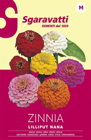 SEMI PER PRATO UNIVERSALE fior di zinnia lilliput nanna- 20 pezzi  - SGARAVATTI