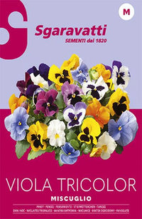 SEMI PER PRATO UNIVERSALE viola tricolor miscuglio 20 pezzi  - SGARAVATTI