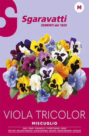 SEMI PER PRATO UNIVERSALE viola tricolor miscuglio 20 pezzi  - SGARAVATTI