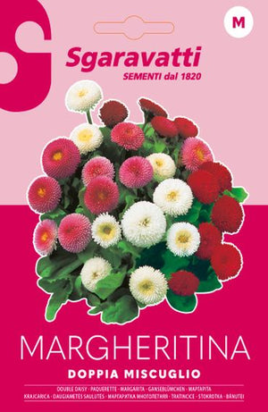 SEMI PER PRATO UNIVERSALE margheritine doppie in miscuglio 20 pezzi  - SGARAVATTI