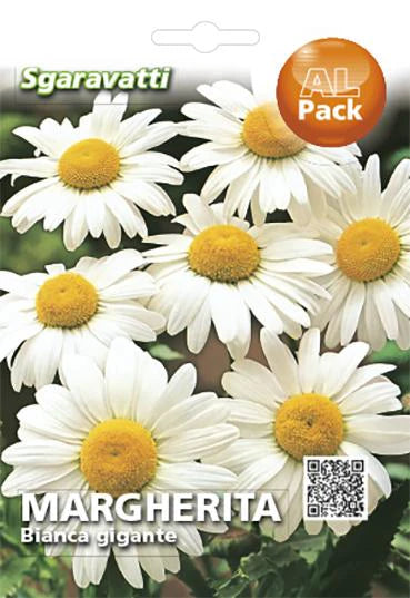 SEMI PER PRATO UNIVERSALE margherita bianca gigante 20 pezzi  - SGARAVATTI