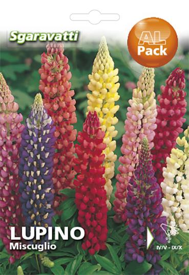 SEMI PER PRATO UNIVERSALE lupino perenne miscuglio 20 pezzi  - SGARAVATTI