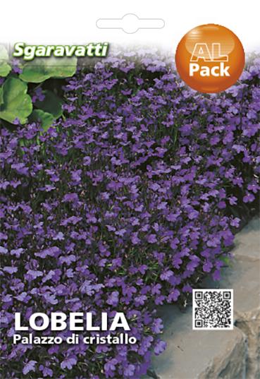 SEMI PER PRATO UNIVERSALE lobelia palazzo di cristallo- 20 pezzi  - SGARAVATTI