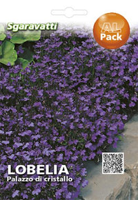 SEMI PER PRATO UNIVERSALE lobelia palazzo di cristallo- 20 pezzi  - SGARAVATTI
