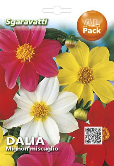 SEMI PER PRATO UNIVERSALE dahlia mignon 20 pezzi  - SGARAVATTI