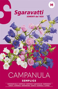 SEMI PER PRATO UNIVERSALE campanula semplice 20 pezzi  - SGARAVATTI