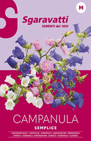 SEMI PER PRATO UNIVERSALE campanula semplice 20 pezzi  - SGARAVATTI