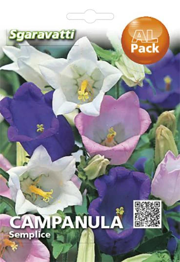 SEMI PER PRATO UNIVERSALE campanula semplice 20 pezzi  - SGARAVATTI