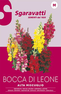 SEMI PER PRATO UNIVERSALE bocca di leone 20 pezzi  - SGARAVATTI