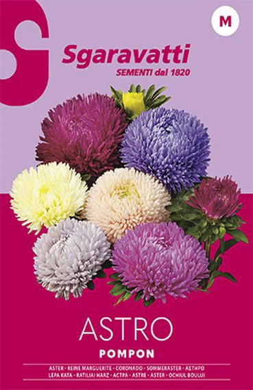 SEMI PER PRATO UNIVERSALE astro pompon- 20 pezzi  - SGARAVATTI