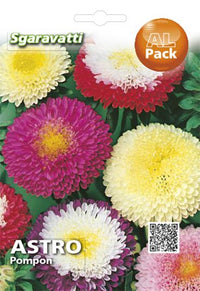 SEMI PER PRATO UNIVERSALE astro pompon- 20 pezzi  - SGARAVATTI