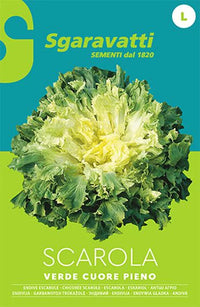 SEMI PER ORTAGGI E VEGETALI scarola verde cuore pieno 20 pezzi  - SGARAVATTI