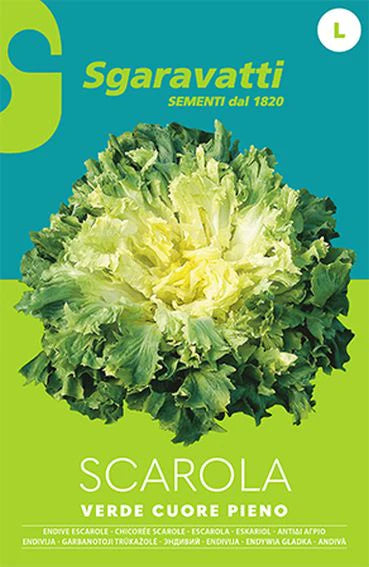 SEMI PER ORTAGGI E VEGETALI scarola verde cuore pieno 20 pezzi  - SGARAVATTI