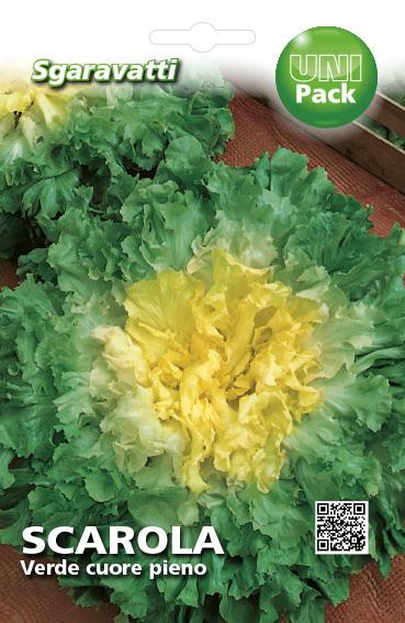 SEMI PER ORTAGGI E VEGETALI scarola verde cuore pieno 20 pezzi  - SGARAVATTI