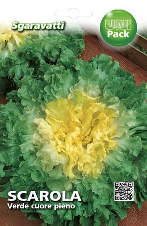 SEMI PER ORTAGGI E VEGETALI scarola verde cuore pieno 20 pezzi  - SGARAVATTI