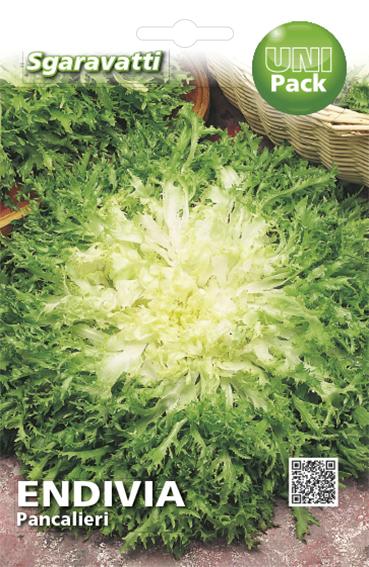 SEMI PER ORTAGGI E VEGETALI endivia riccia Pancalieri 20 pezzi  - SGARAVATTI