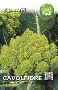 SEMI PER ORTAGGI E VEGETALI cavolfiore romanesco natalino 20 pezzi  - SGARAVATTI