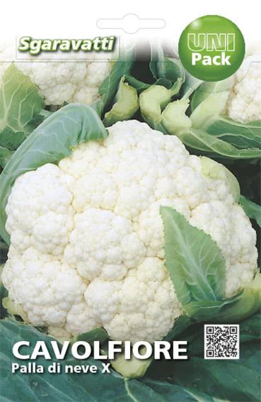 SEMI PER ORTAGGI E VEGETALI cavolfiore palla di neve X 20 pezzi  - SGARAVATTI