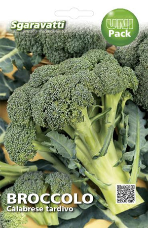 SEMI PER ORTAGGI E VEGETALI broccolo ramoso calabrese tardivo 20 pezzi  - SGARAVATTI