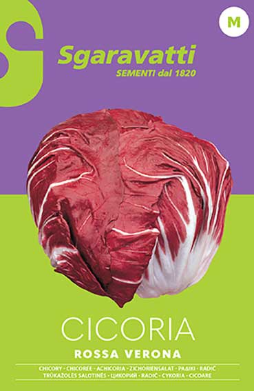 SEMI PER ORTAGGI E VEGETALI cicoria rossa di verona a palla 20 pezzi  - SGARAVATTI