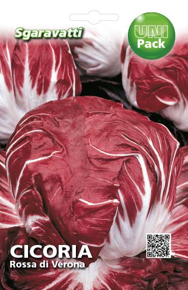 SEMI PER ORTAGGI E VEGETALI cicoria rossa di verona a palla 20 pezzi  - SGARAVATTI