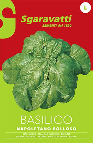 SEMI PER ORTAGGI E VEGETALI basilico napoletano bolloso 20 pezzi  - SGARAVATTI
