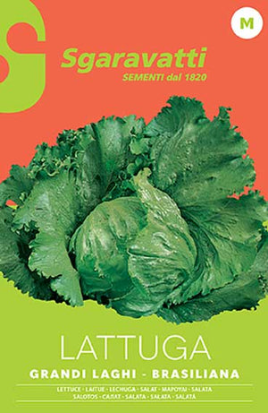 SEMI PER ORTAGGI E VEGETALI lattuga grandi laghi - brasiliana- 20 pezzi  - SGARAVATTI