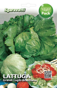 SEMI PER ORTAGGI E VEGETALI lattuga grandi laghi - brasiliana- 20 pezzi  - SGARAVATTI