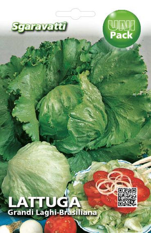 SEMI PER ORTAGGI E VEGETALI lattuga grandi laghi - brasiliana- 20 pezzi  - SGARAVATTI