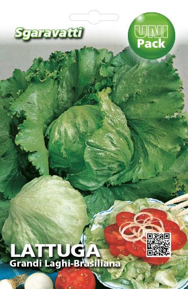 SEMI PER ORTAGGI E VEGETALI lattuga grandi laghi - brasiliana- 20 pezzi  - SGARAVATTI