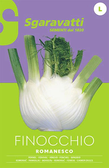 SEMI PER ORTAGGI E VEGETALI finocchio romanesco- 20 pezzi  - SGARAVATTI