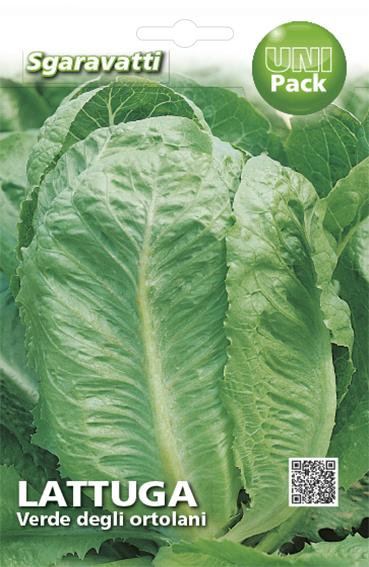 SEMI PER ORTAGGI E VEGETALI lattuga verde degli ortolani- 20 pezzi  - SGARAVATTI