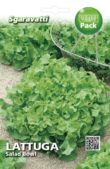 SEMI PER ORTAGGI E VEGETALI lattuga salad bowl 20 pezzi  - SGARAVATTI