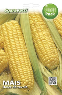 SEMI PER ORTAGGI E VEGETALI mais dolce Golden Bantam 10 pezzi  - SGARAVATTI