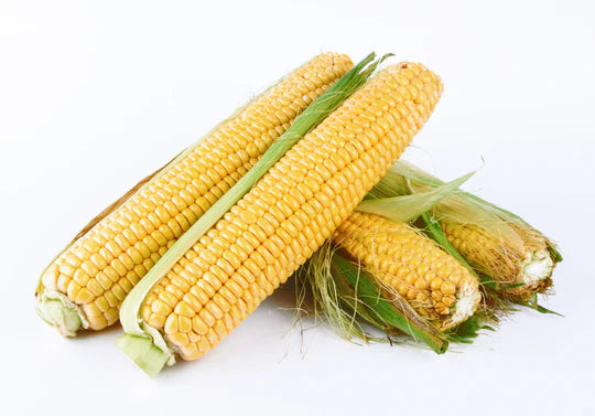 SEMI PER ORTAGGI E VEGETALI mais dolce Golden Bantam 10 pezzi  - SGARAVATTI