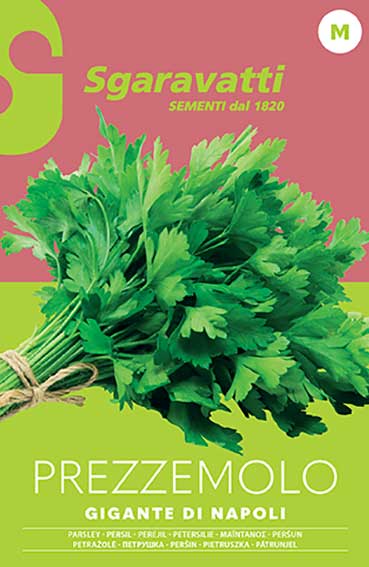 SEMI PER ORTAGGI E VEGETALI prezzemolo gigante Napoli 20 pezzi  - SGARAVATTI