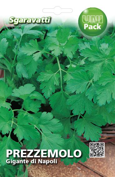 SEMI PER ORTAGGI E VEGETALI prezzemolo gigante Napoli 20 pezzi  - SGARAVATTI