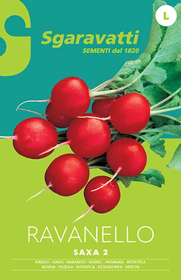 SEMI PER ORTAGGI E VEGETALI ravanello saxa 2 - 20 pezzi  - SGARAVATTI