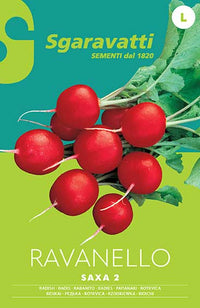 SEMI PER ORTAGGI E VEGETALI ravanello saxa 2 - 20 pezzi  - SGARAVATTI
