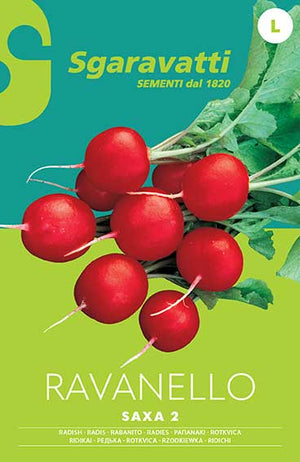 SEMI PER ORTAGGI E VEGETALI ravanello saxa 2 - 20 pezzi  - SGARAVATTI