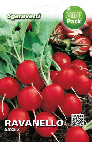SEMI PER ORTAGGI E VEGETALI ravanello saxa 2 - 20 pezzi  - SGARAVATTI