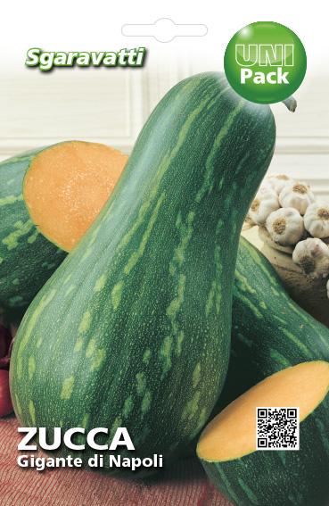 SEMI PER ORTAGGI E VEGETALI zucca lunga gigante di Napoli 20 pezzi  - SGARAVATTI