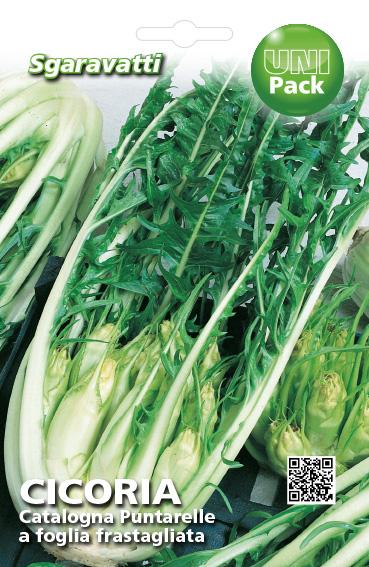SEMI PER ORTAGGI E VEGETALI cicoria catalogna puntarelle frastagliate 20 pezzi  - SGARAVATTI
