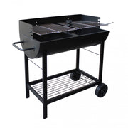 BARBECUE A CARBONELLA WISCONSIN