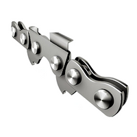 Catena ricambio 10 pollici per motosega 25cm 25cc gcs5261011 ingco accessorio