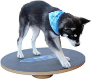 Tavolo di equilibrio per cani - 50 cm, addestramento di equilibrio