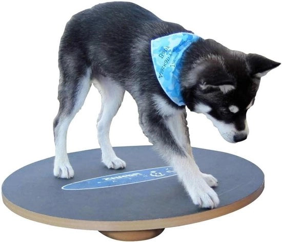Tavolo di equilibrio per cani - 50 cm, addestramento di equilibrio