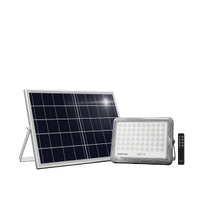 Century PROIETTORE A LED SOLARE PROMETEO 10 W, 4000K