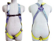 1pz imbracatura anticaduta "sekuralt light plus 2" - taglia l-xl cod:ferx.fer306485
